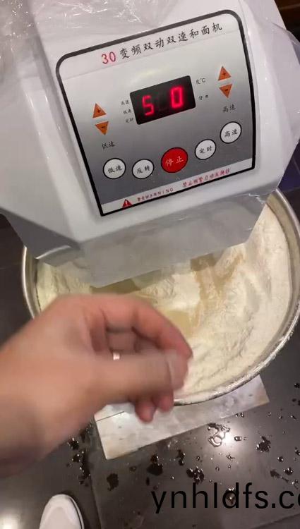 Inverter double speed dough mixer